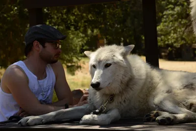 DSC_1663 (Large).JPG